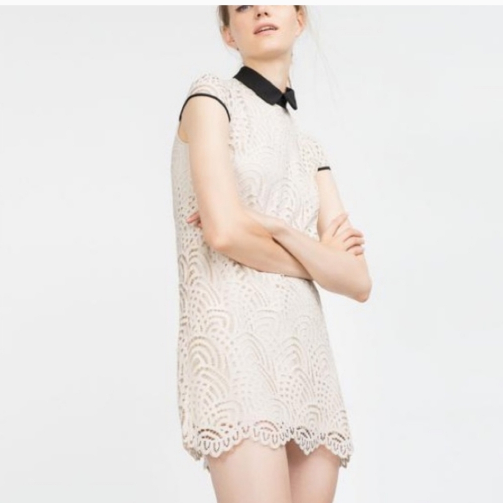 Zara Ivory Lace Short Sleeve Dress